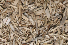 biomass boilers Dedridge